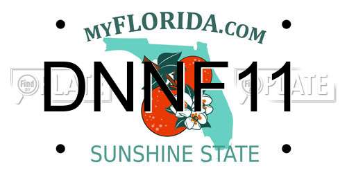 DNNF11 Florida License Plate