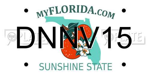 DNNV15 Florida License Plate