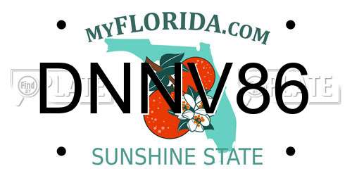 DNNV86 Florida License Plate