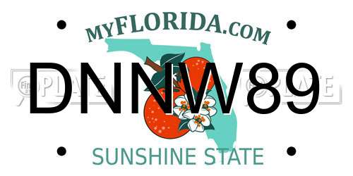 DNNW89 Florida License Plate