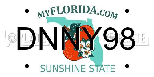 DNNY98 Florida License Plate