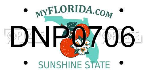 DNP0706 Florida License Plate