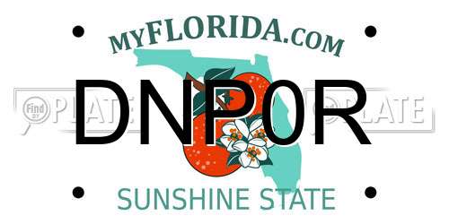 DNP0R Florida License Plate