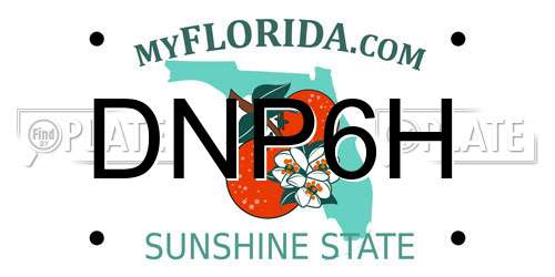 DNP6H Florida License Plate