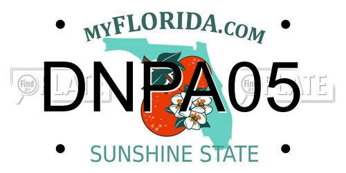 DNPA05 Florida License Plate