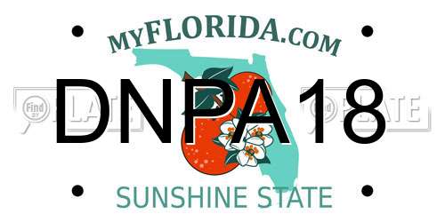 DNPA18 Florida License Plate