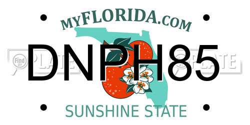 DNPH85 Florida License Plate