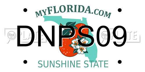 DNPS09 Florida License Plate