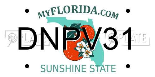 DNPV31 Florida License Plate