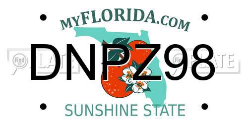 DNPZ98 Florida License Plate
