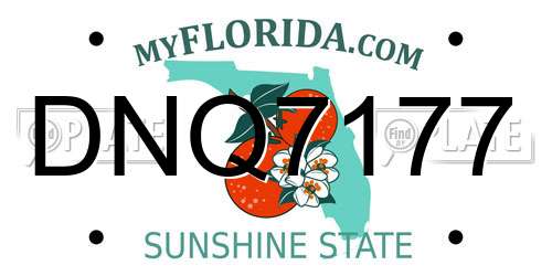 DNQ7177 Florida License Plate