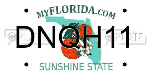 DNQH11 Florida License Plate