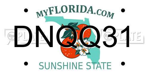 DNQQ31 Florida License Plate