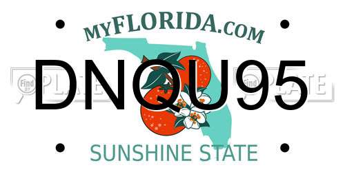 DNQU95 Florida License Plate