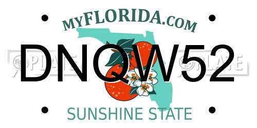 DNQW52 Florida License Plate
