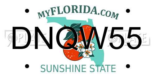 DNQW55 Florida License Plate
