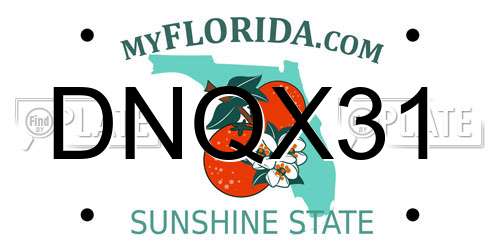DNQX31 Florida License Plate