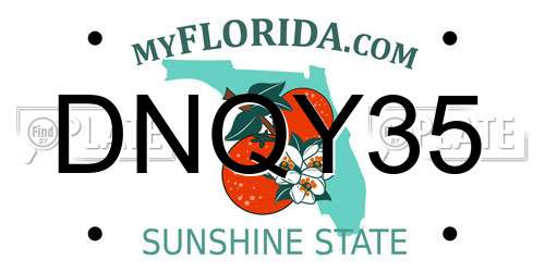 DNQY35 Florida License Plate