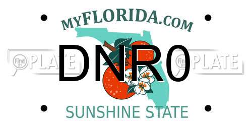 DNR0 Florida License Plate