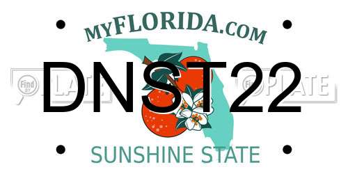 DNST22 Florida License Plate
