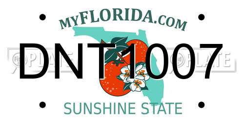 DNT1007 Florida License Plate