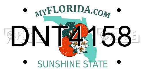 DNT4158 Florida License Plate