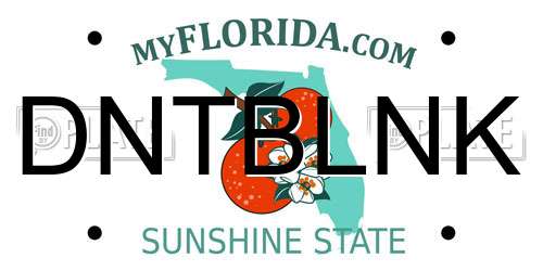 DNTBLNK Florida License Plate