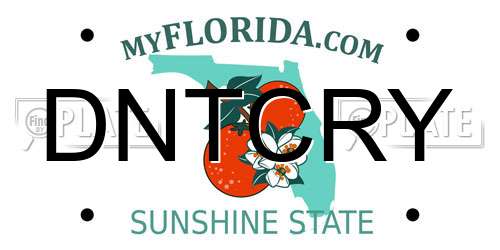 DNTCRY Florida License Plate