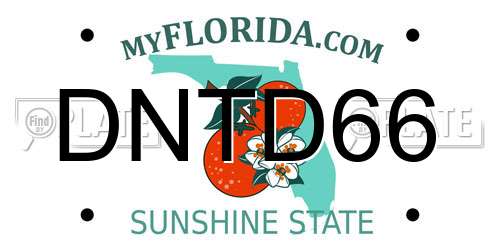 DNTD66 Florida License Plate