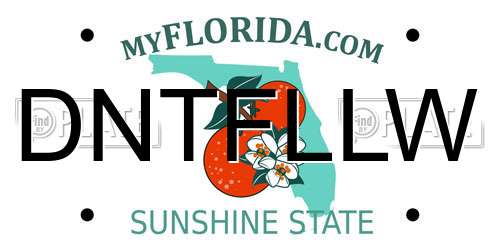 DNTFLLW Florida License Plate