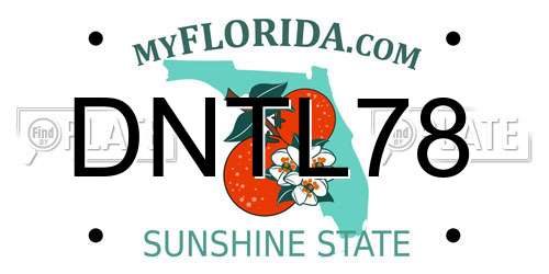 DNTL78 Florida License Plate