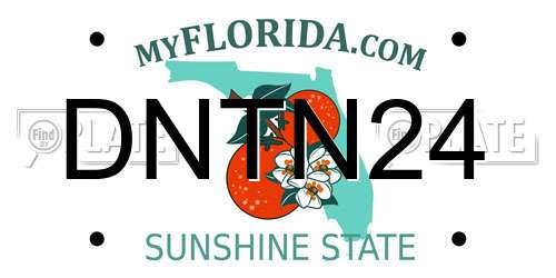 DNTN24 Florida License Plate