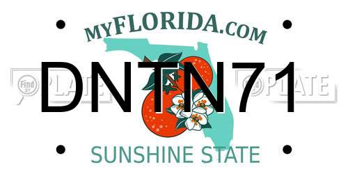 DNTN71 Florida License Plate