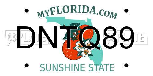 DNTQ89 Florida License Plate