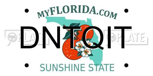 DNTQIT Florida License Plate