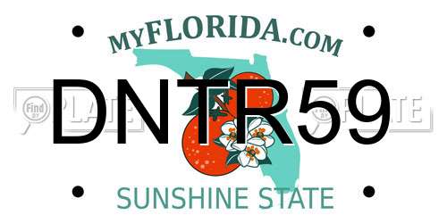 DNTR59 Florida License Plate