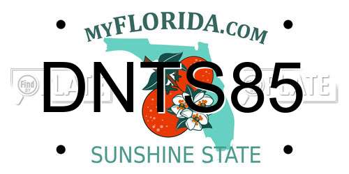 DNTS85 Florida License Plate