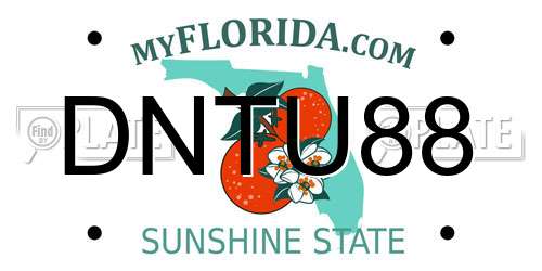 DNTU88 Florida License Plate