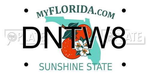 DNTW8 Florida License Plate