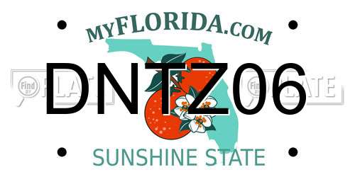 DNTZ06 Florida License Plate