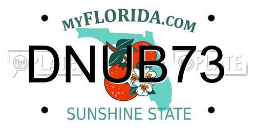 DNUB73 Florida License Plate