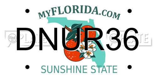 DNUR36 Florida License Plate