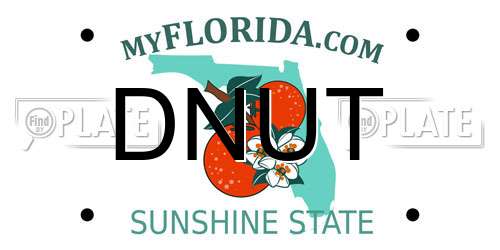 DNUT Florida License Plate
