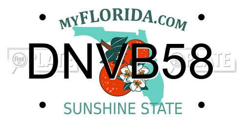 DNVB58 Florida License Plate