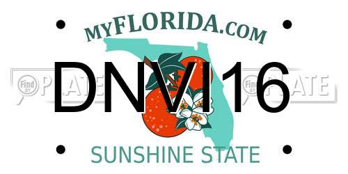 DNVI16 Florida License Plate