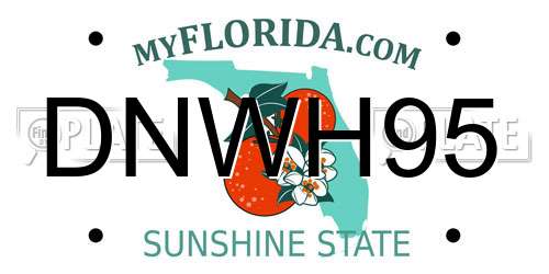 DNWH95 Florida License Plate