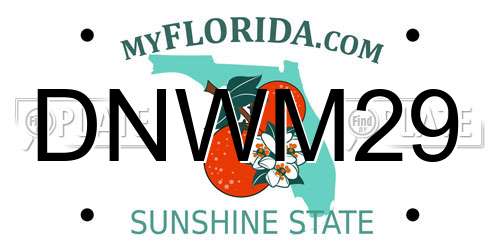 DNWM29 Florida License Plate