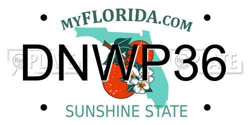 DNWP36 Florida License Plate
