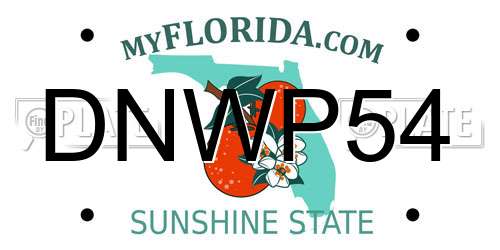 DNWP54 Florida License Plate
