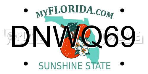 DNWQ69 Florida License Plate